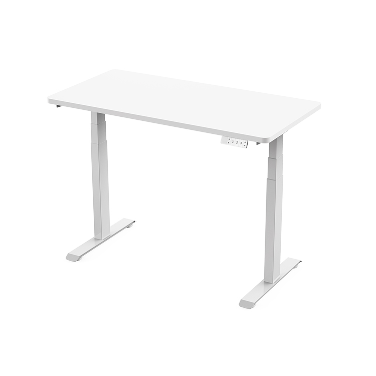 ED11 Dual Motor Standing Desk