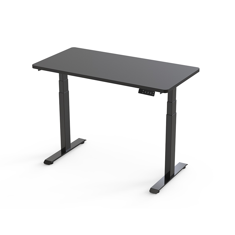 ED11 Dual Motor Standing Desk