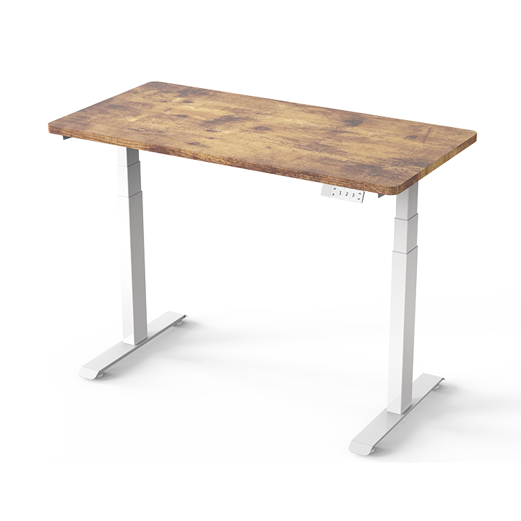 ED11 Dual Motor Standing Desk