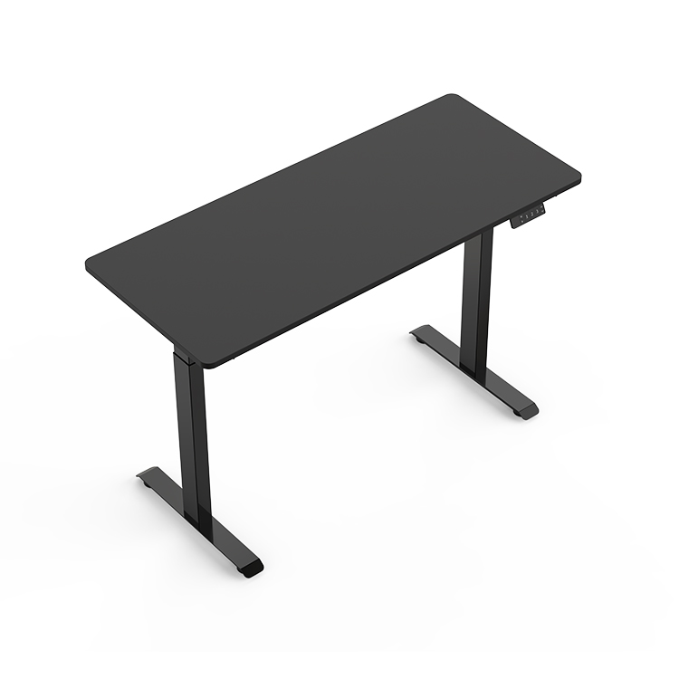 ED9 Dual Motor Standing Desk