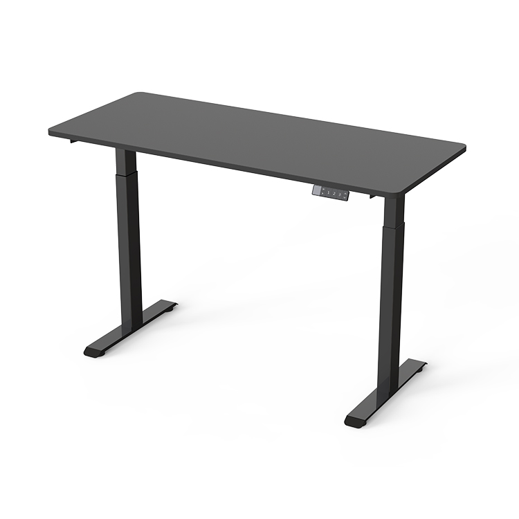 ED9 Dual Motor Standing Desk