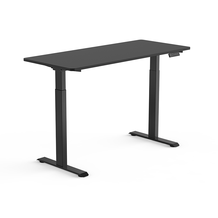 ED9 Dual Motor Standing Desk