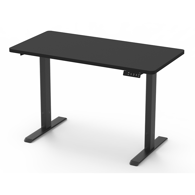 ED8 Dual Motor Standing Desk