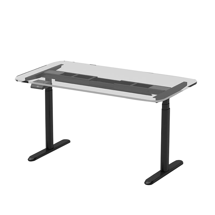 Dual Motor Electric Home Office Laptop Standing Desk