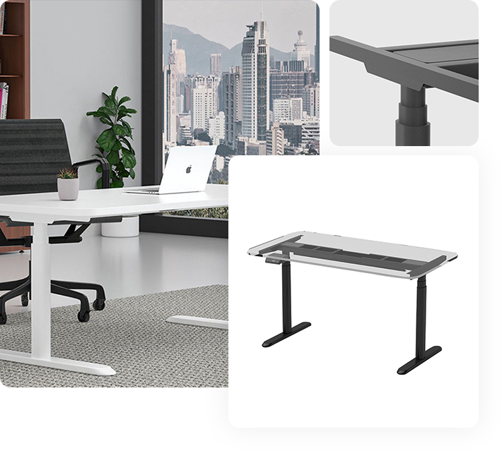 Dual Motor Electric Home Office Laptop Standing Desk